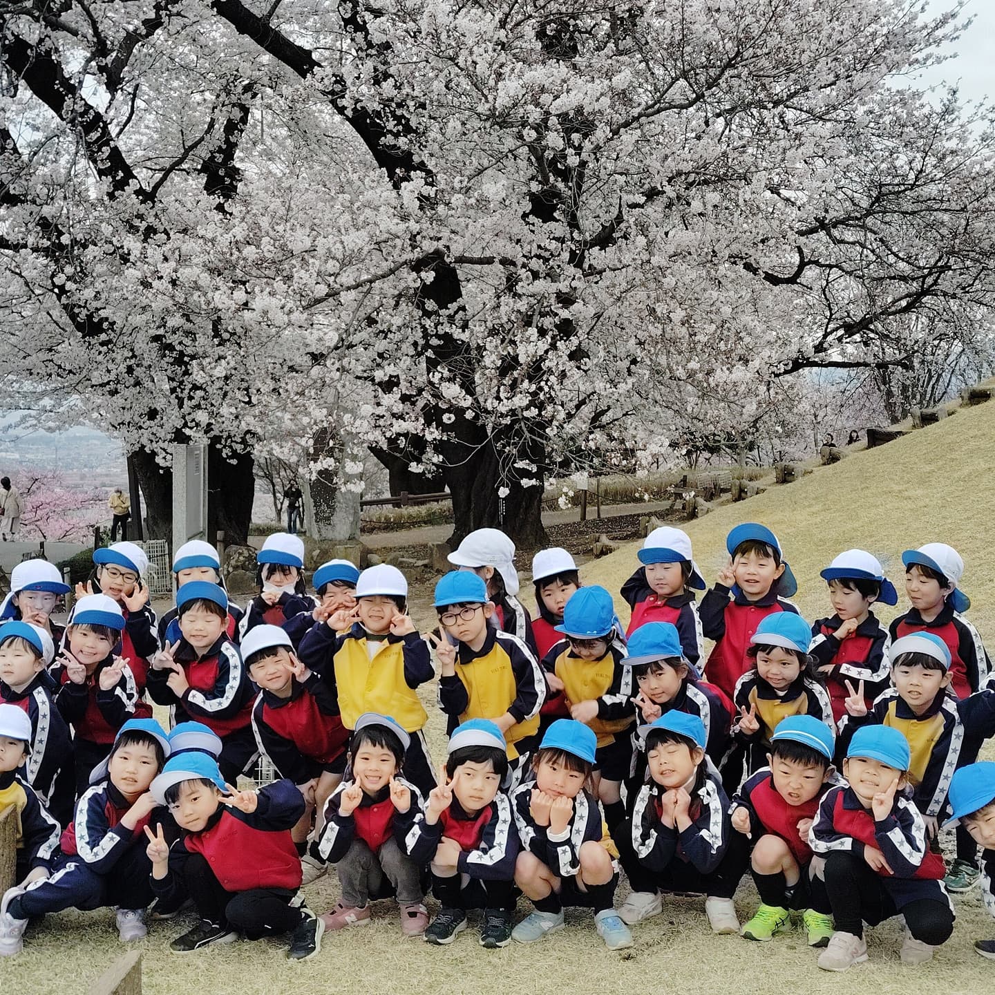 お花見をする子ども